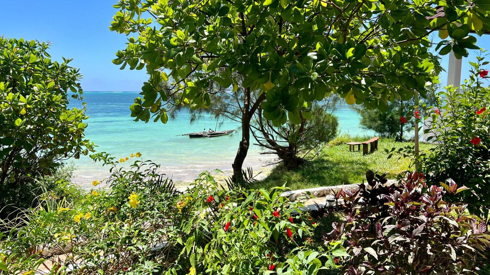 Z-Lodge Zanzibar Ківенґва Екстер'єр фото